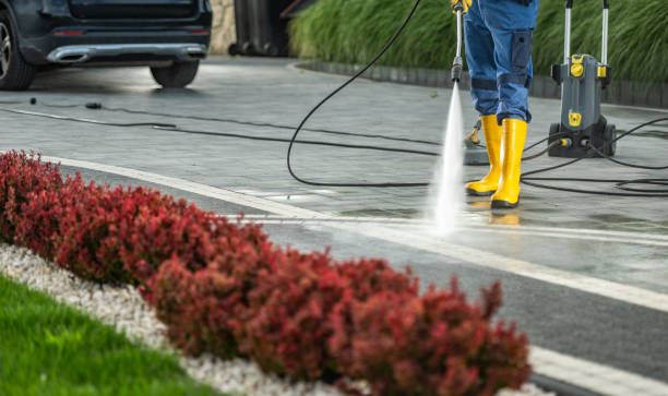 Best Fence Cleaning  in Soldotna, AK